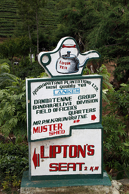 LIPTON SEAT - HAPUTALE
